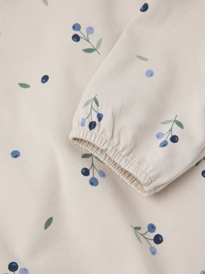 Långärmad topp blåbär Långärmad topp blåbär