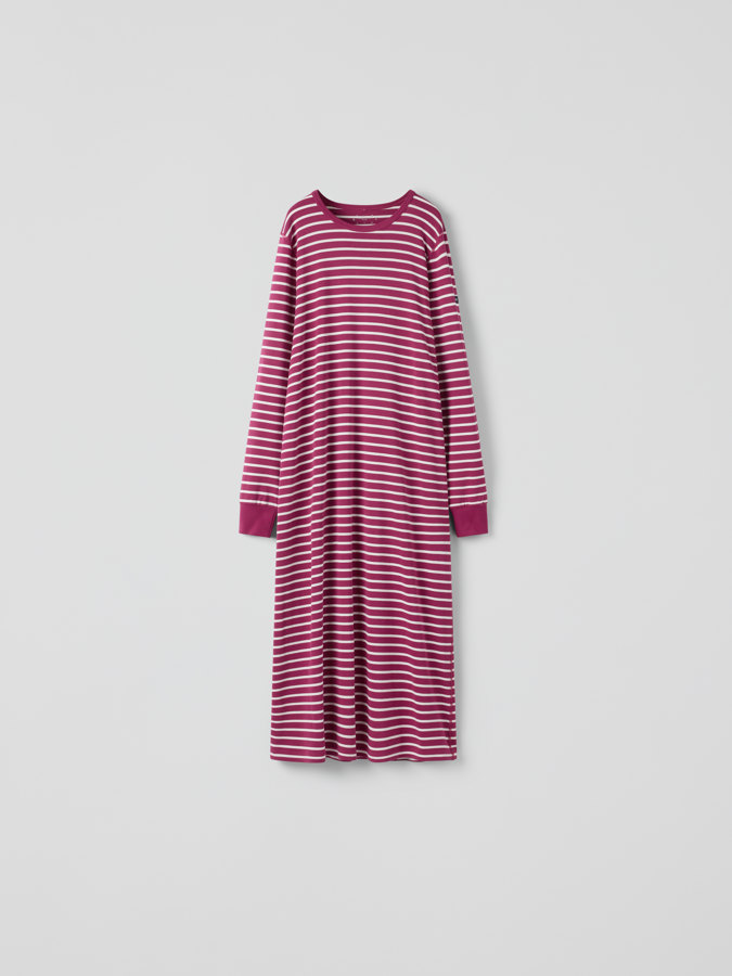 Nattlinne randigt vuxen Nattlinne randigt vuxen