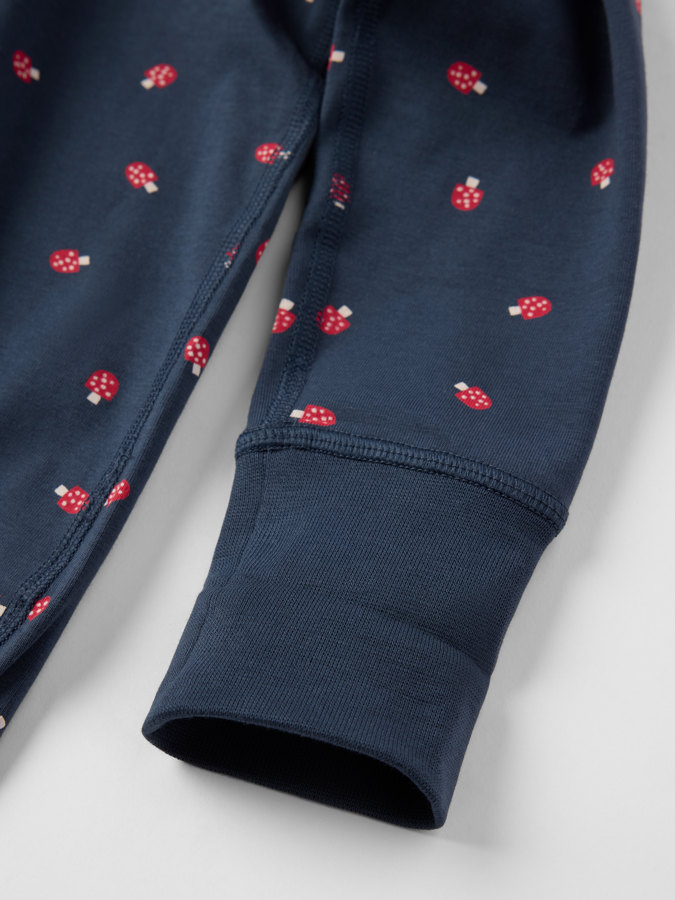 Förlängningsbar body svampar