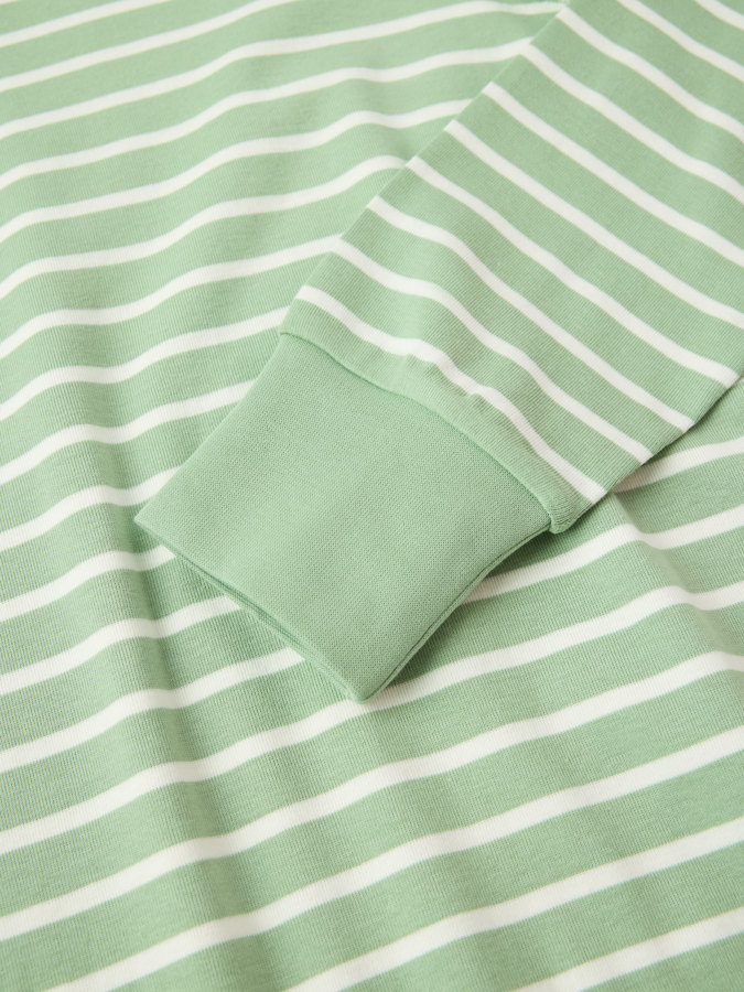 Nattlinne randigt vuxen