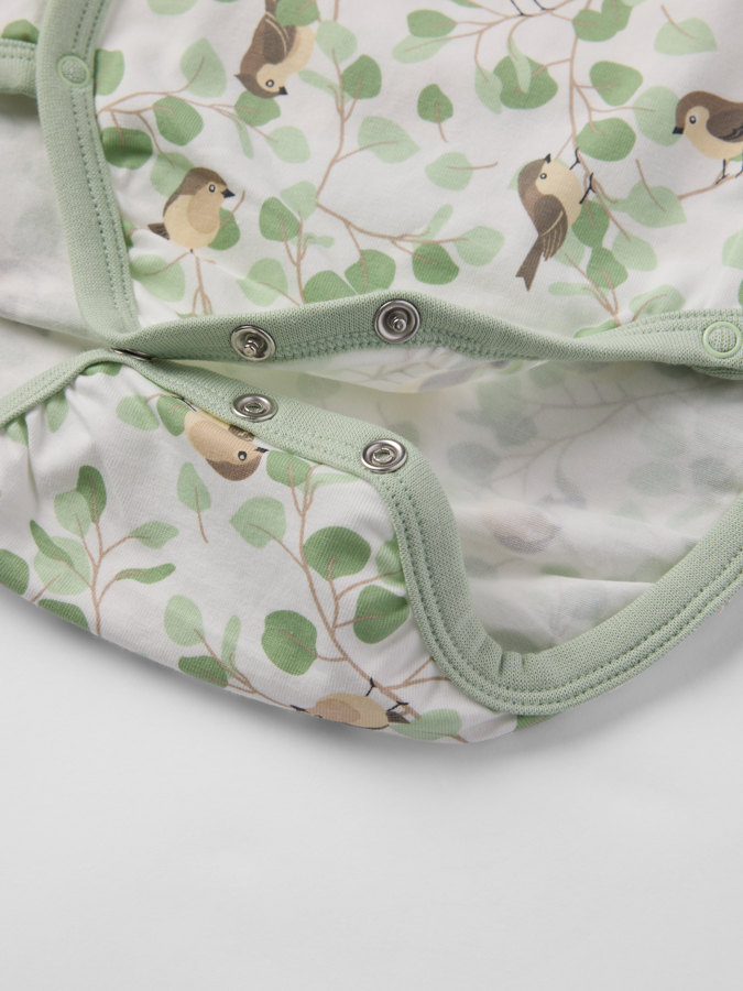 Omlottbody fåglar Omlottbody fåglar