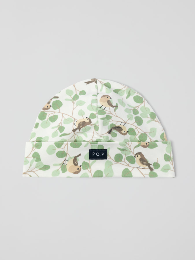 Trikåmössa fåglar