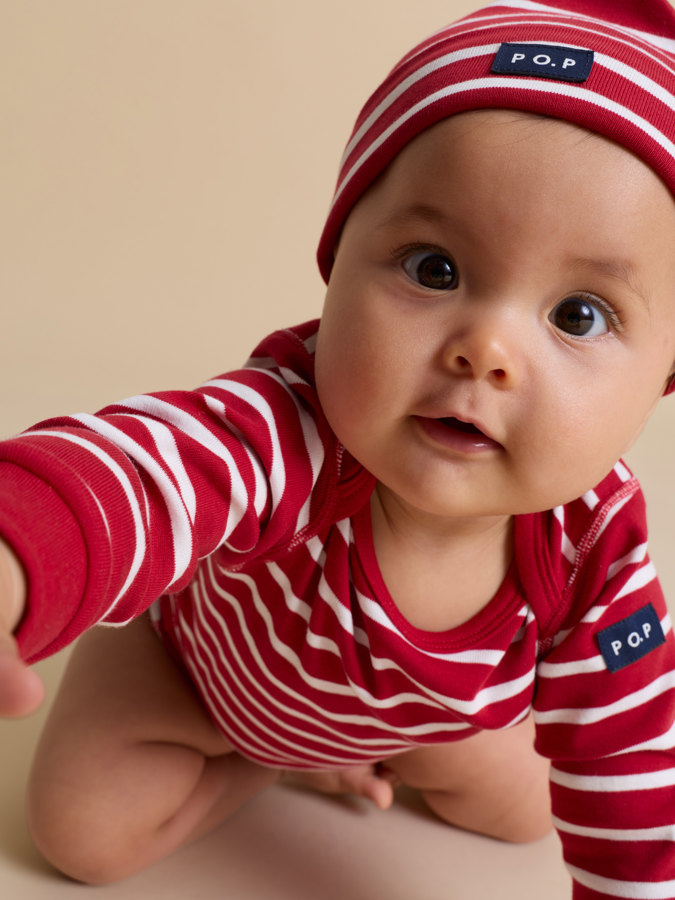 Tomteluva randig Tomteluva randig